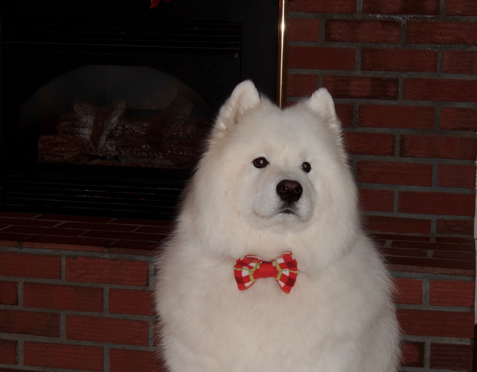 Casper